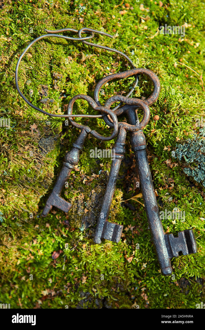 A bunch of old iron keys lying on The forest moss, closeup Stock Photo