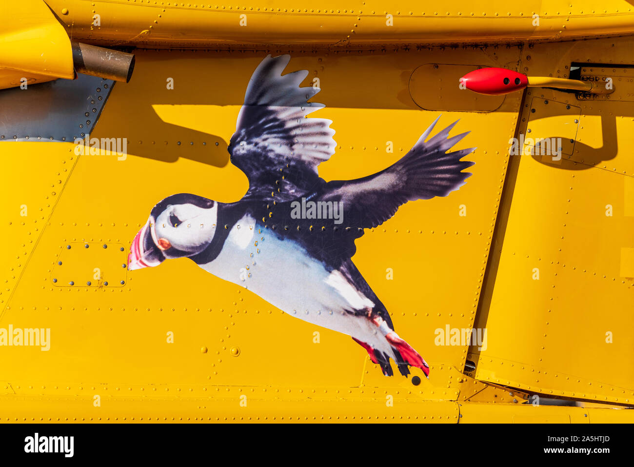 Aurigny airline puffin logo on a Britten-Norman Trislander aircraft. Aurigny is the airline of Guernsey in the Channel Islands. Stock Photo
