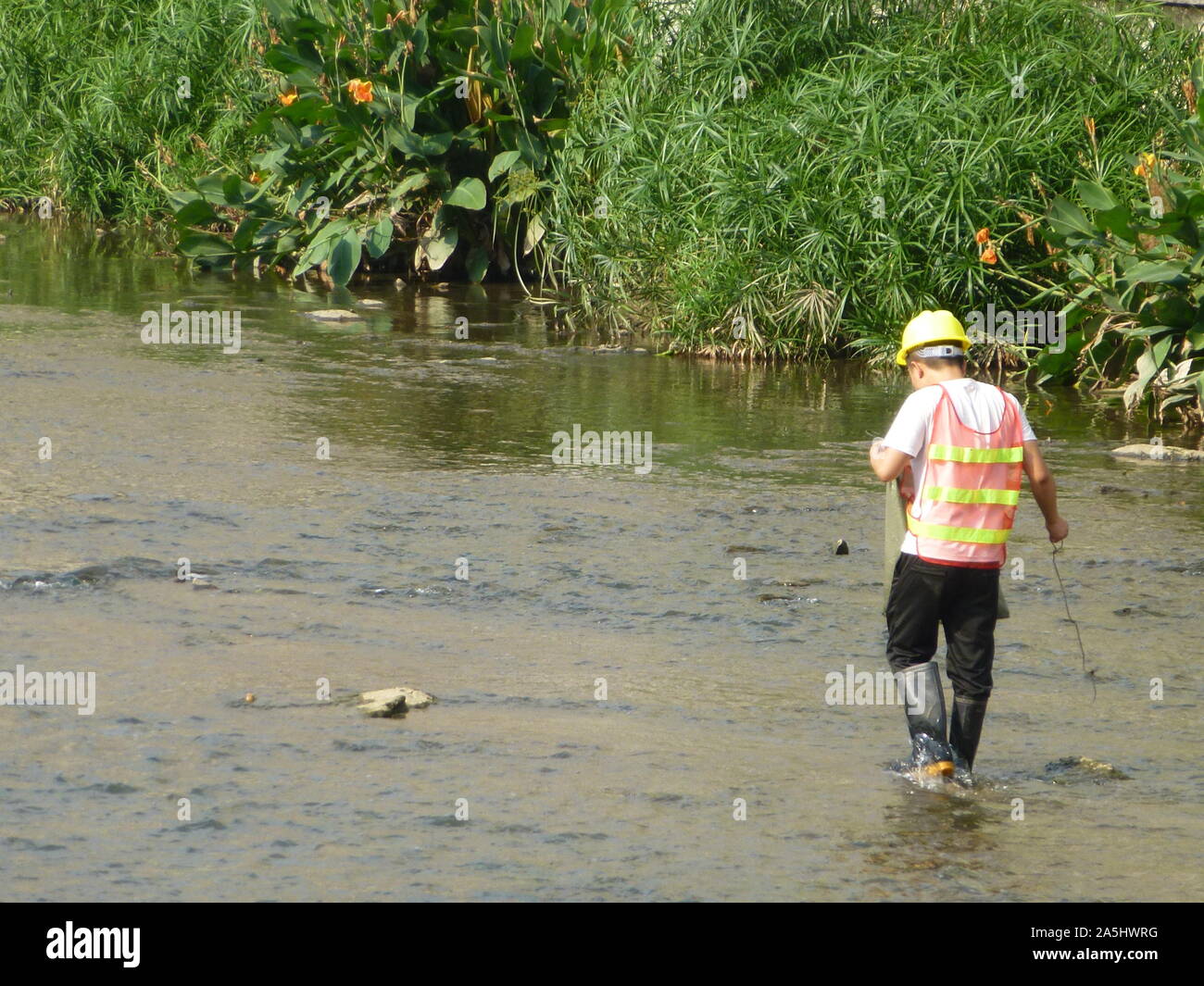 Sanitation workers clean up rubbish in rivers, in Xixiang River ...