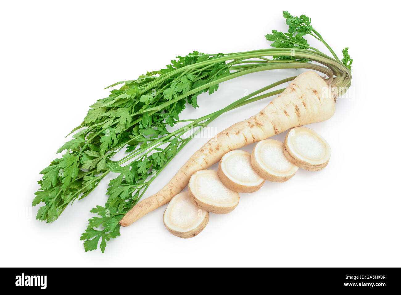 Parsnip leaves root hires stock photography and images Alamy