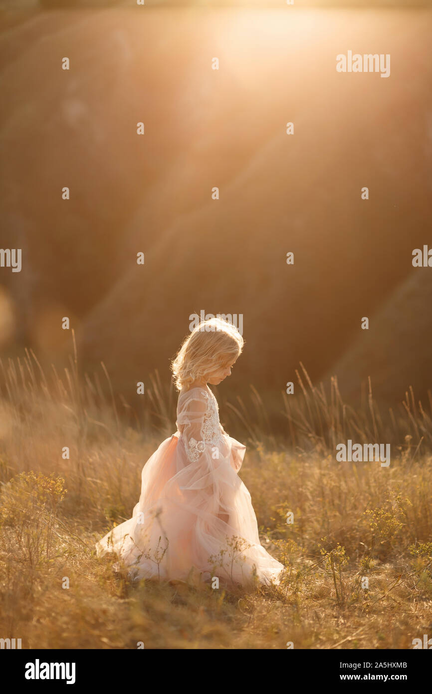 Portrait of a beautiful little princess girl in a pink dress. Posing in ...