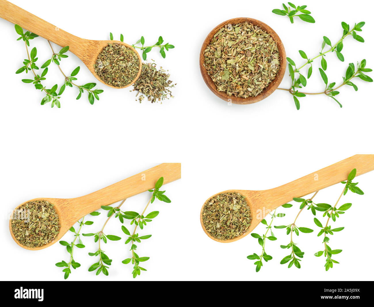 Set or collection dried thyme leaves with fresh thyme isolated on white background. Stock Photo
