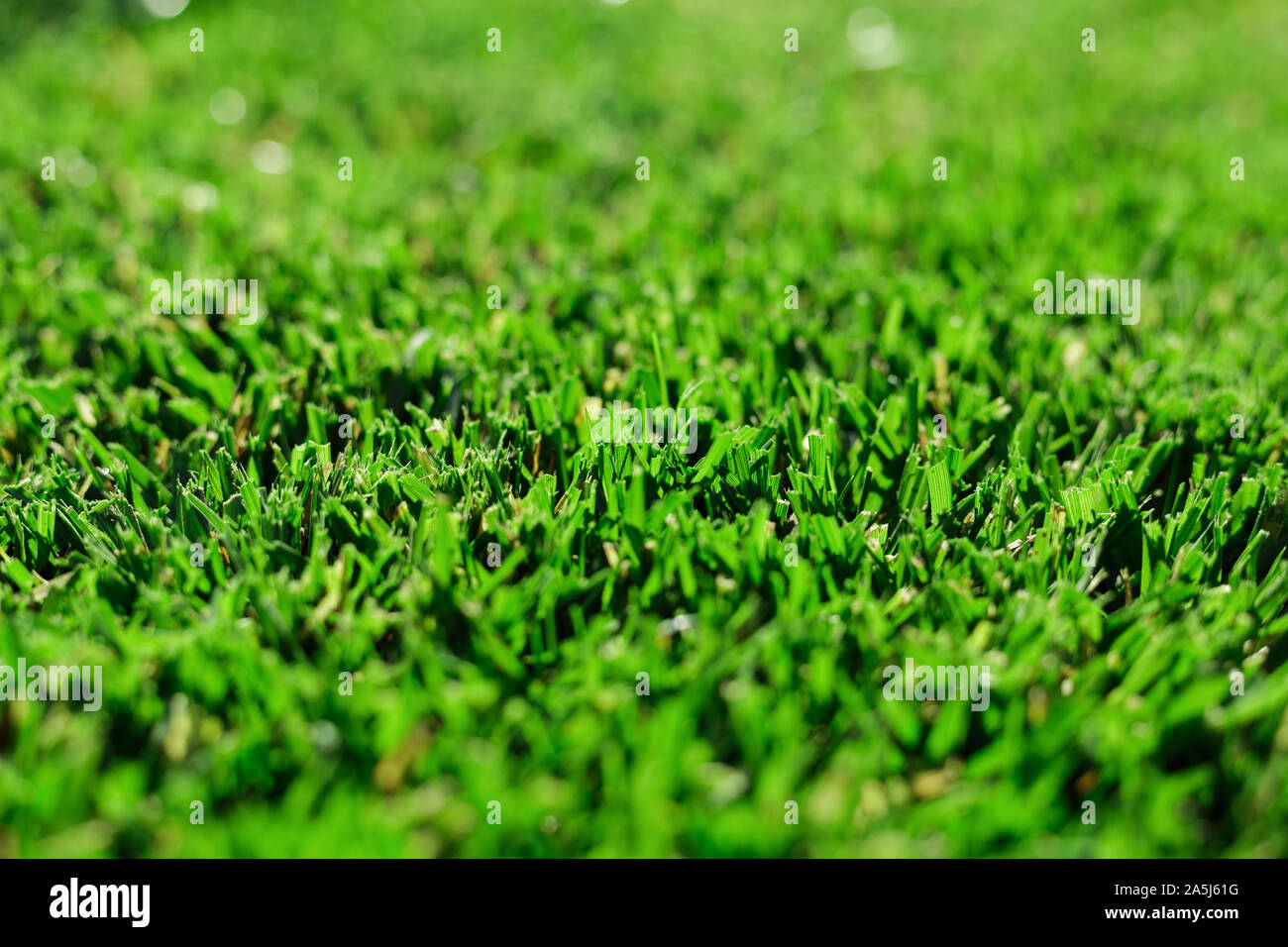 Close up green fresh grass. Perfectly green fresh cut mowed garden lawn for sports, golf field in summer. Lawn, carpet, natural green trimmed grass Stock Photo