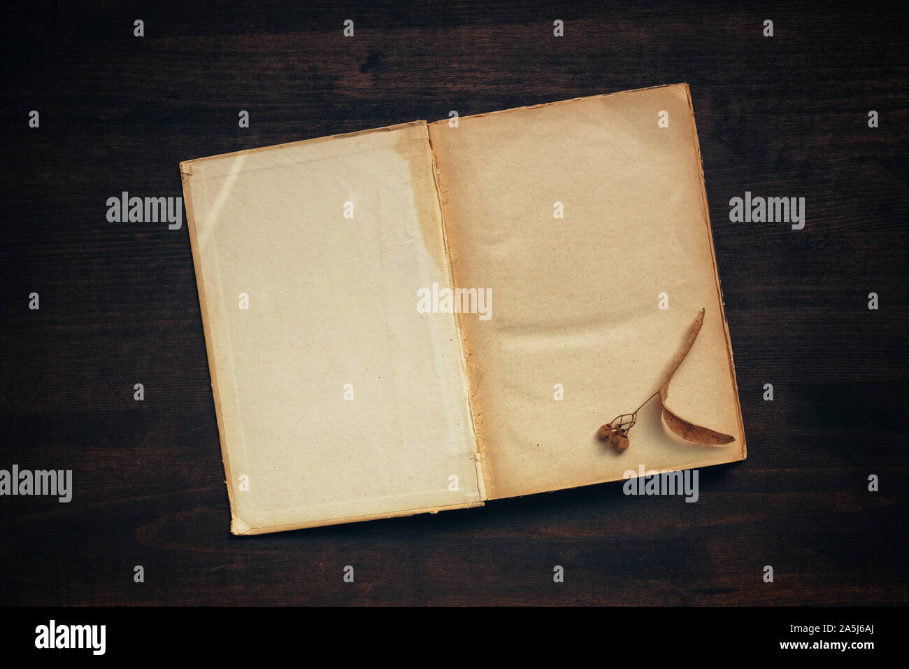 Vintage book blank pages mock up top view flat lay on dark wooden background Stock Photo