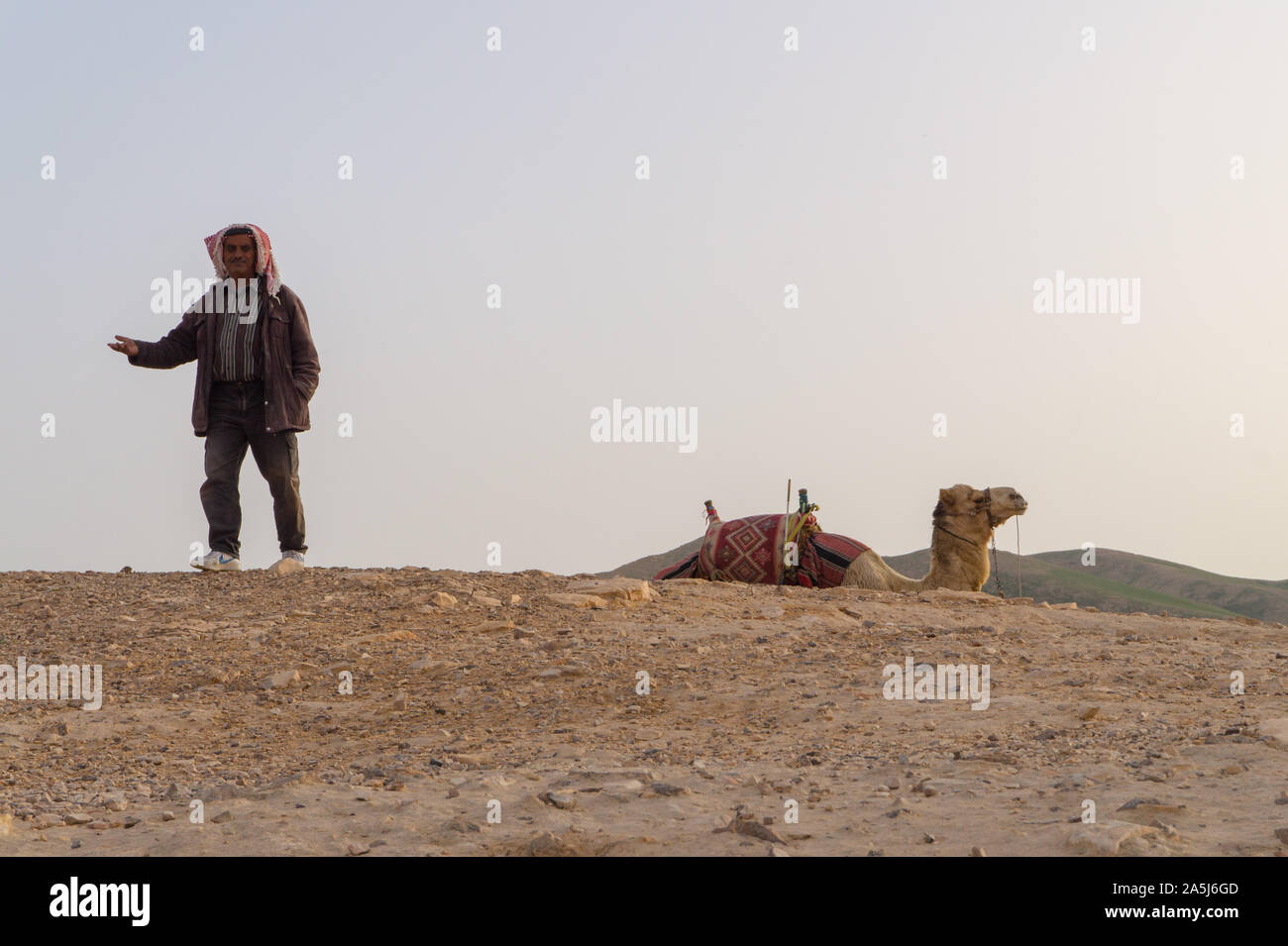 Judean desert, Israel- February 26, 2018: a Bedouin with a camel in the desert Stock Photo
