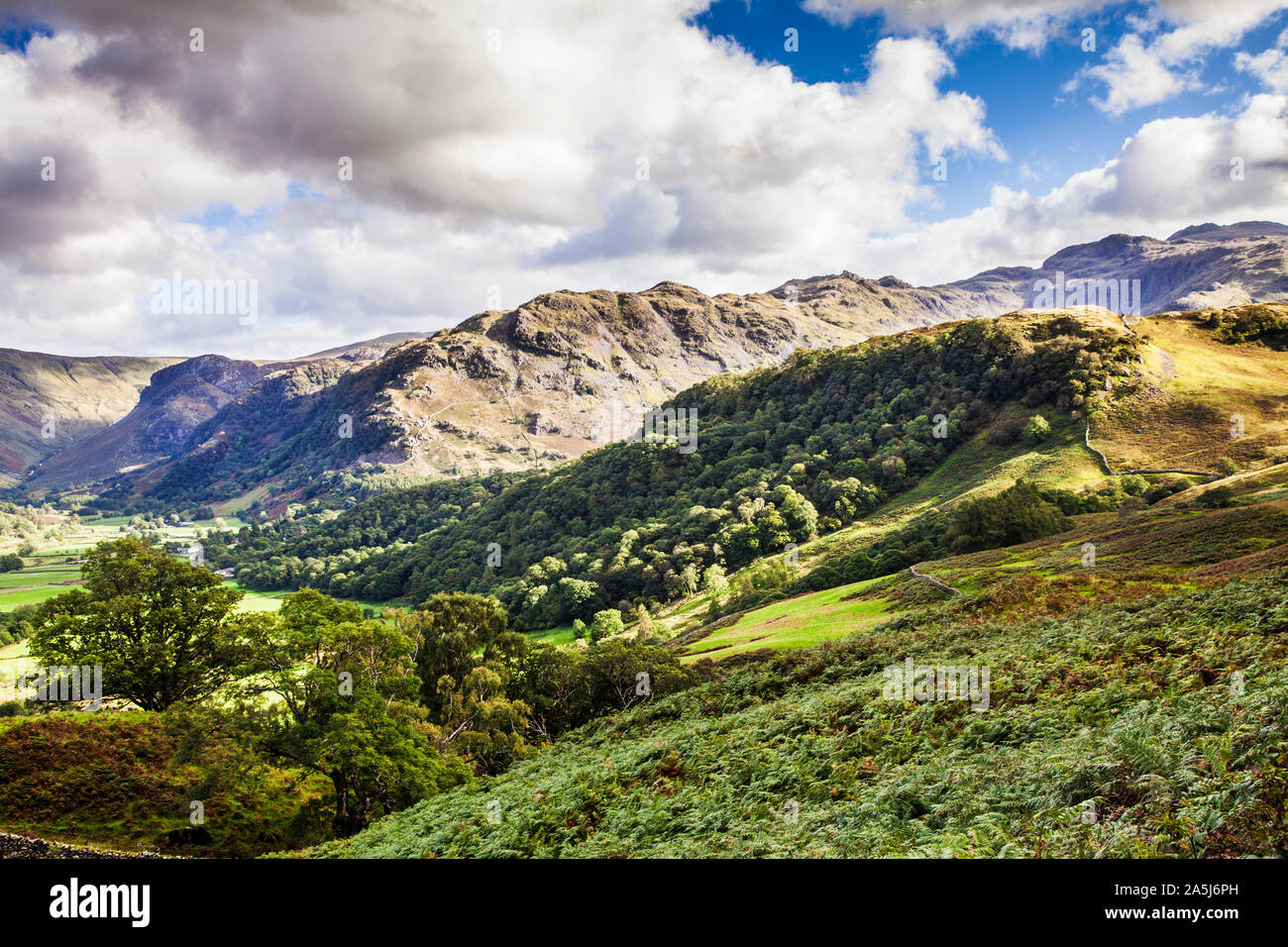 View of Borrowdale in the Lake District National Park, Cumbria. Stock Photo