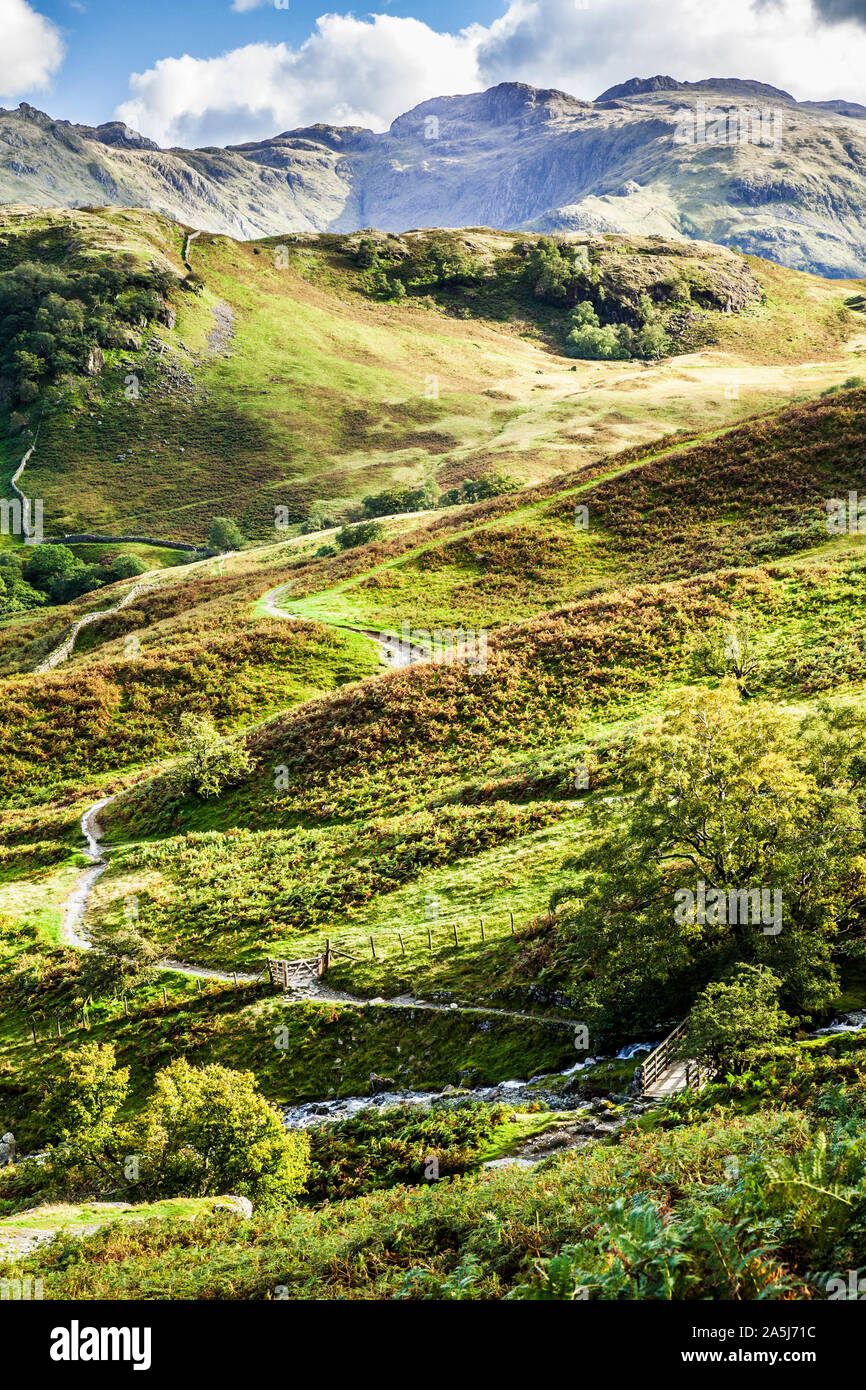 View of Borrowdale in the Lake District National Park, Cumbria. Stock Photo