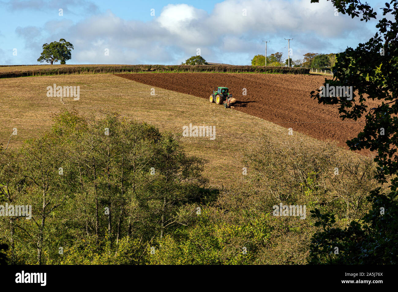 Agricultural Field, Farm, Seed, Sowing, Tractor, UK, England, Hill, In A Row, Organic, Planting, Agriculture, Bantham, Brown, Crop - Plant, Devon, Dir Stock Photo