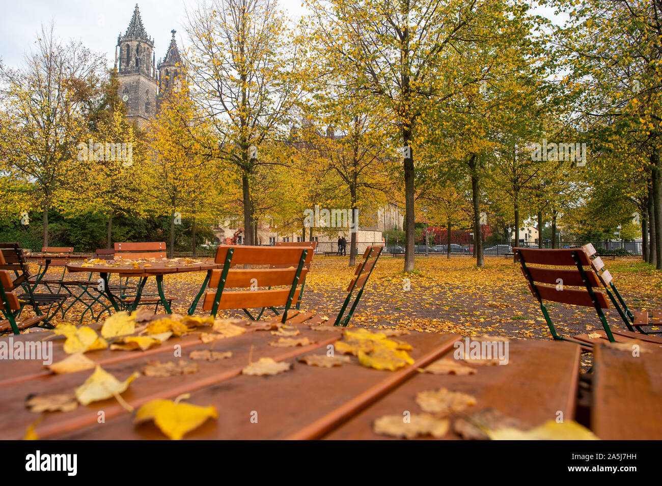 Magdeburg, Germany. 21st Oct, 2019. Autumnally discoloured leaves lie on chairs and tables of the beer garden 'Schweizer Milchkuranstalt Fürstenwall'. The beer garden is still open until the end of October when the weather is good, a notice on the taproom says. In the background the Magdeburg cathedral towers above the autumnal trees. Credit: Klaus-Dietmar Gabbert/dpa-Zentralbild/ZB/dpa/Alamy Live News Stock Photo