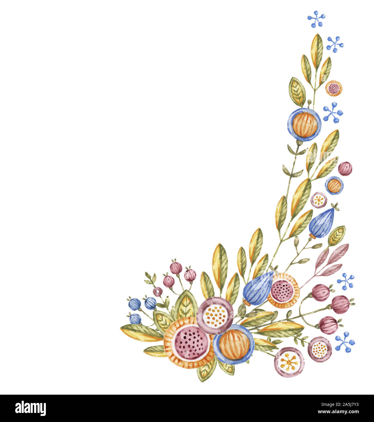 Angular watercolor flower branch isolated on white background ...