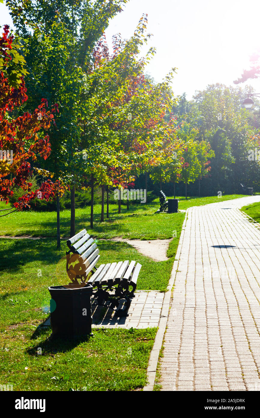 Maple alley in the autumn park. Beautiful trees and benches Stock Photo ...