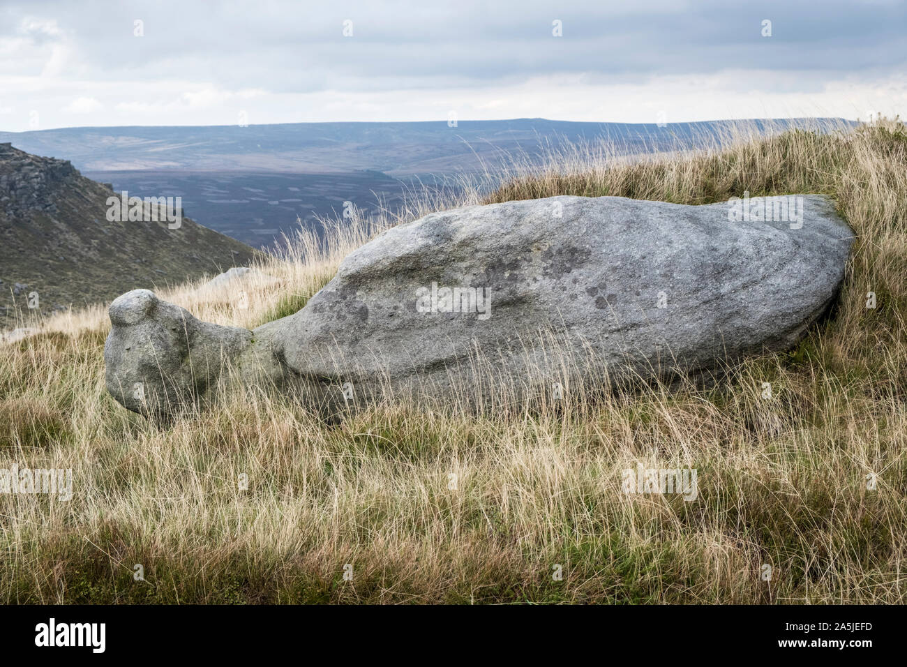 Snail shaped gritstone (siliceous sandstone) also known as millstone grit, on a slope on Kinder Scout, Derbyshire, Peak District, England, UK Stock Photo