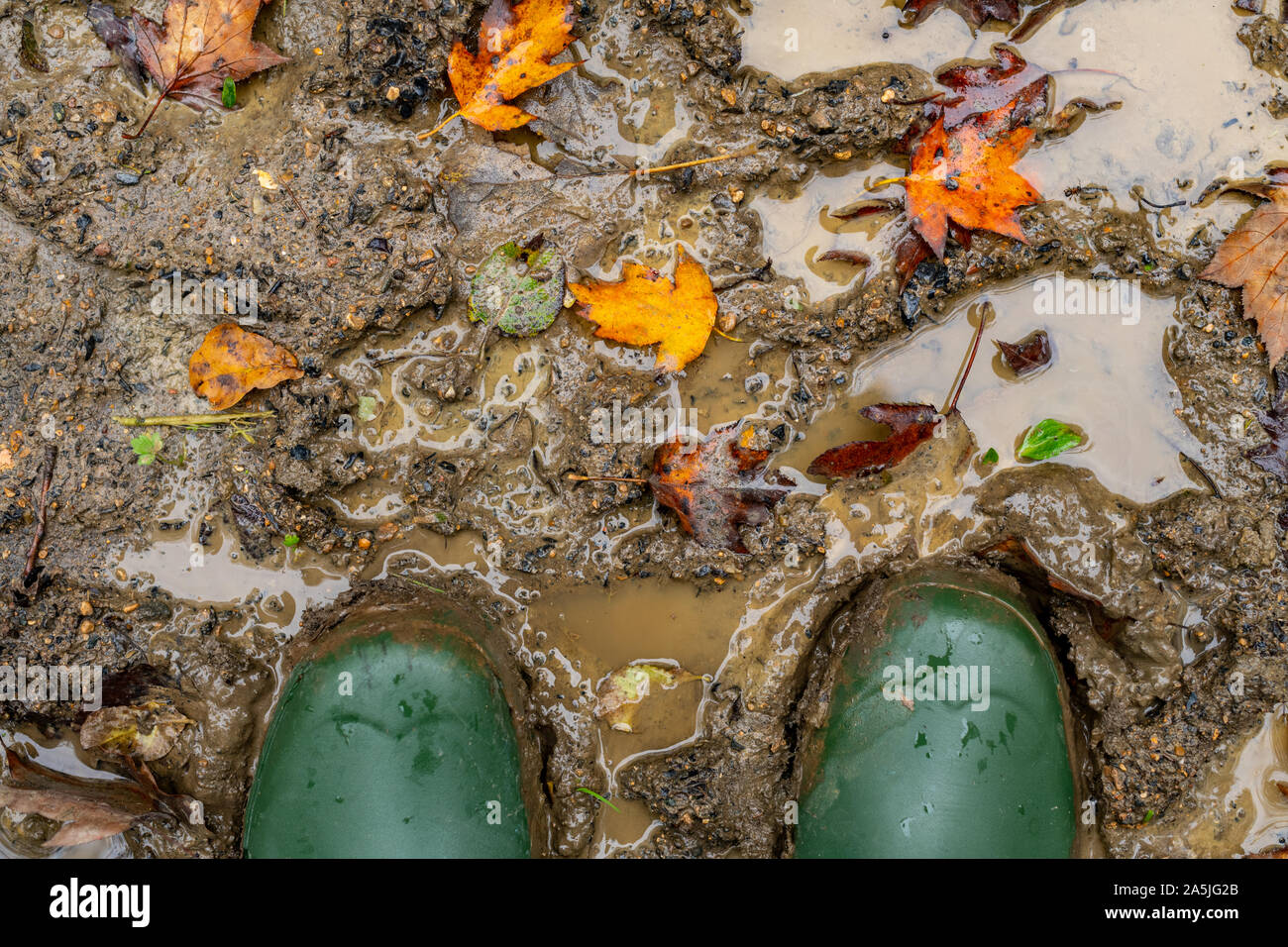 Green wellington boots in mud on a forest footpath. Autumnal landscape ...