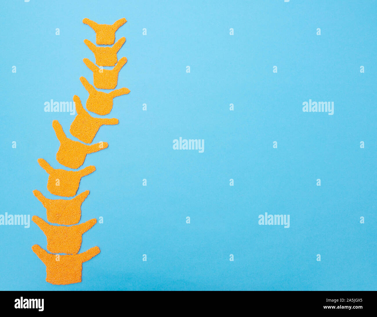 Spine on a blue background. The concept of spinal diseases, curvature of the spine and scoliosis, copy space, muscular dystrophy Stock Photo