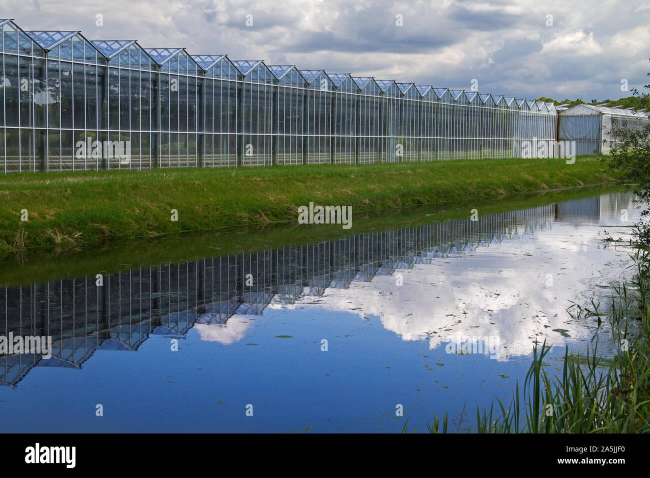 Greenhouse, reflected in the water of a canal in the Netherlands Stock Photo