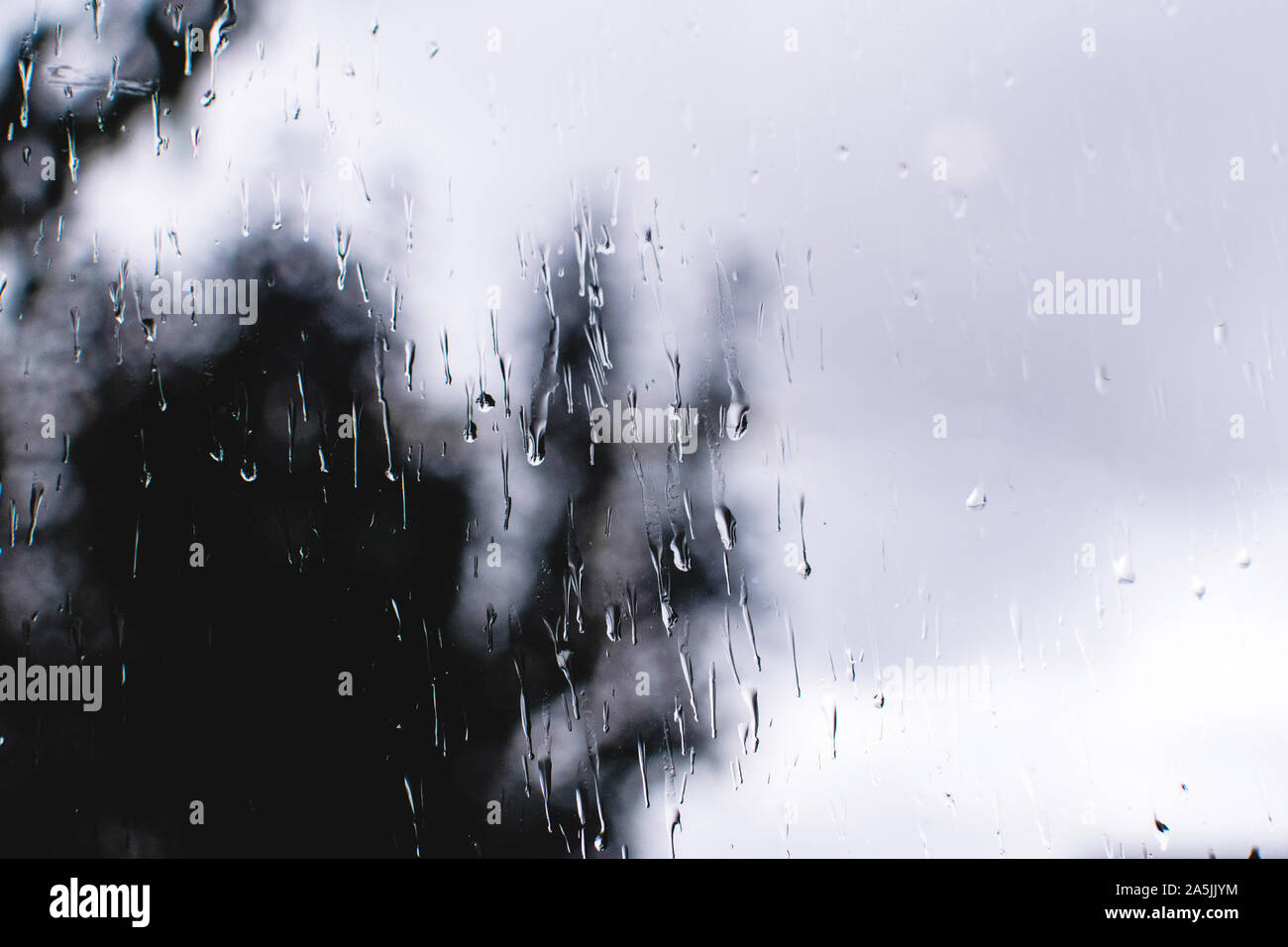Raindrops on the glass with blurred tree in the background. Stock Photo