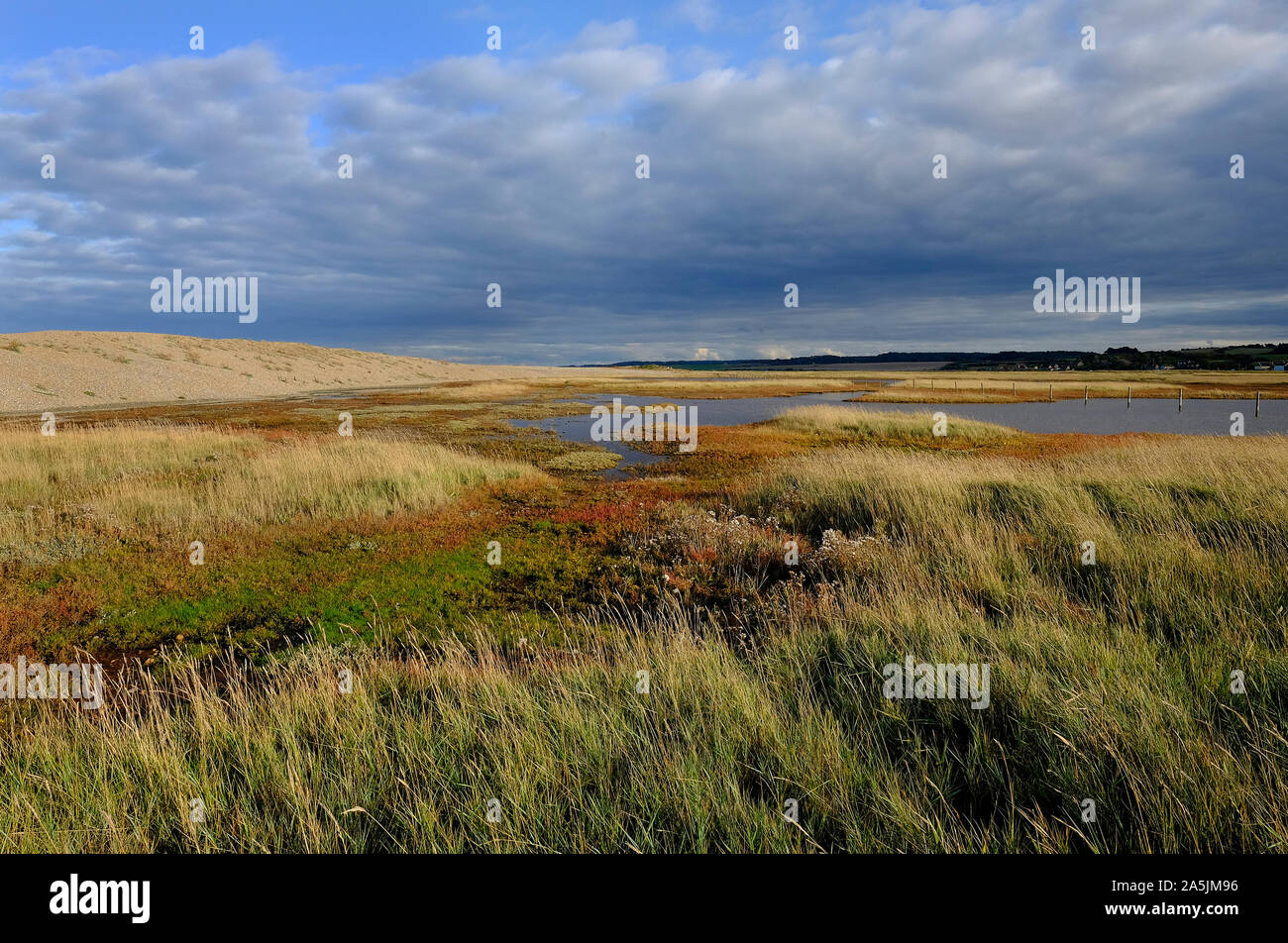 salthouse marshes, north norfolk, england Stock Photo