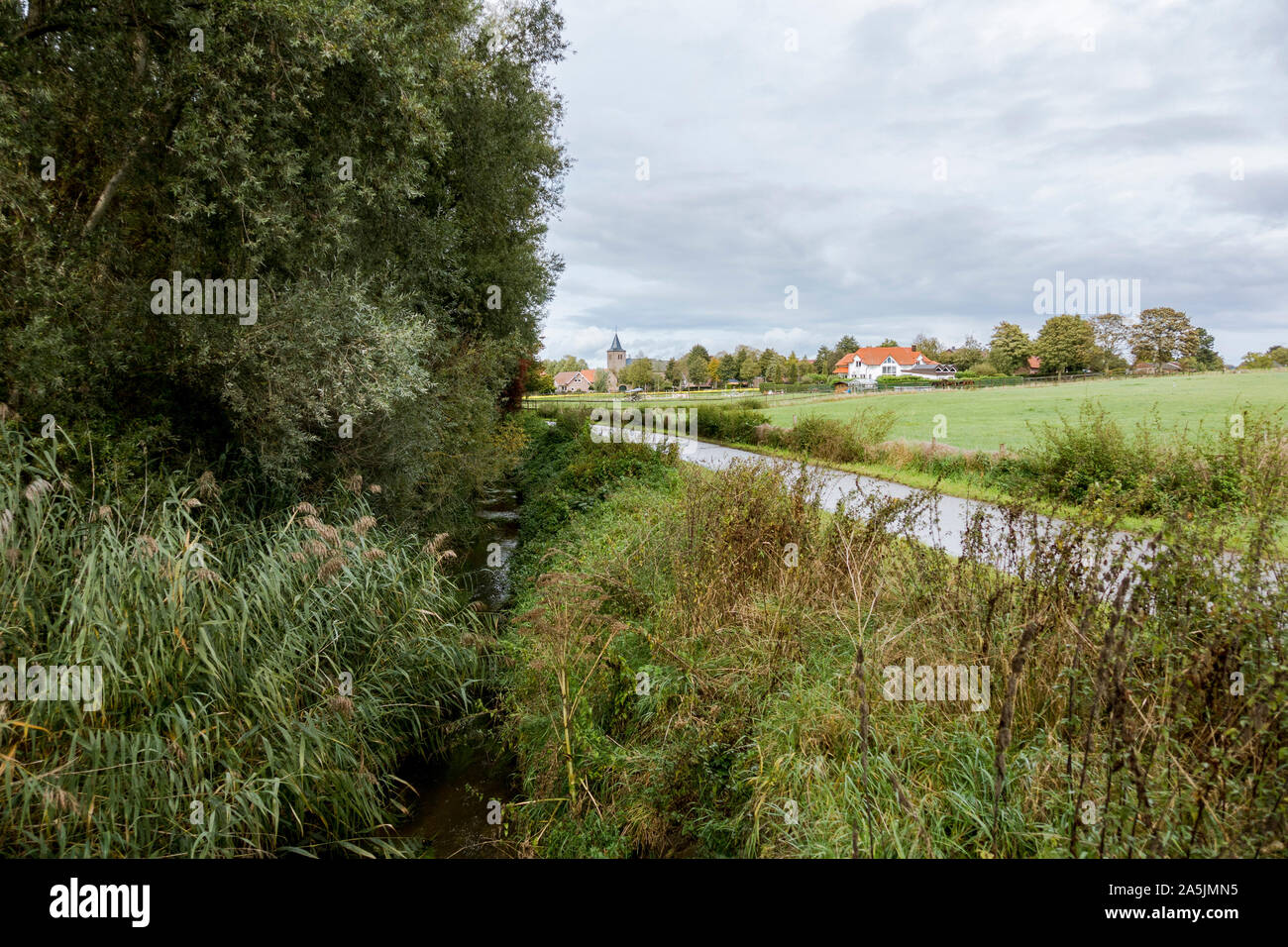 Small road through german farmland, with green crop, on the border of Netherlands and Germany. Stock Photo