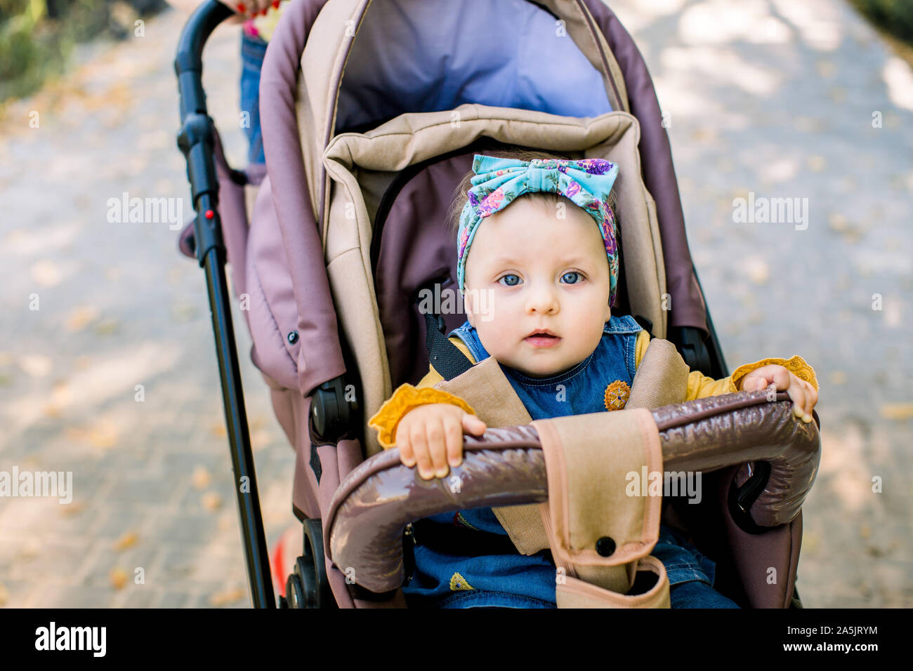 baby in a carriage