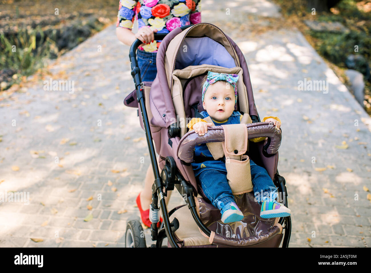 baby in a carriage