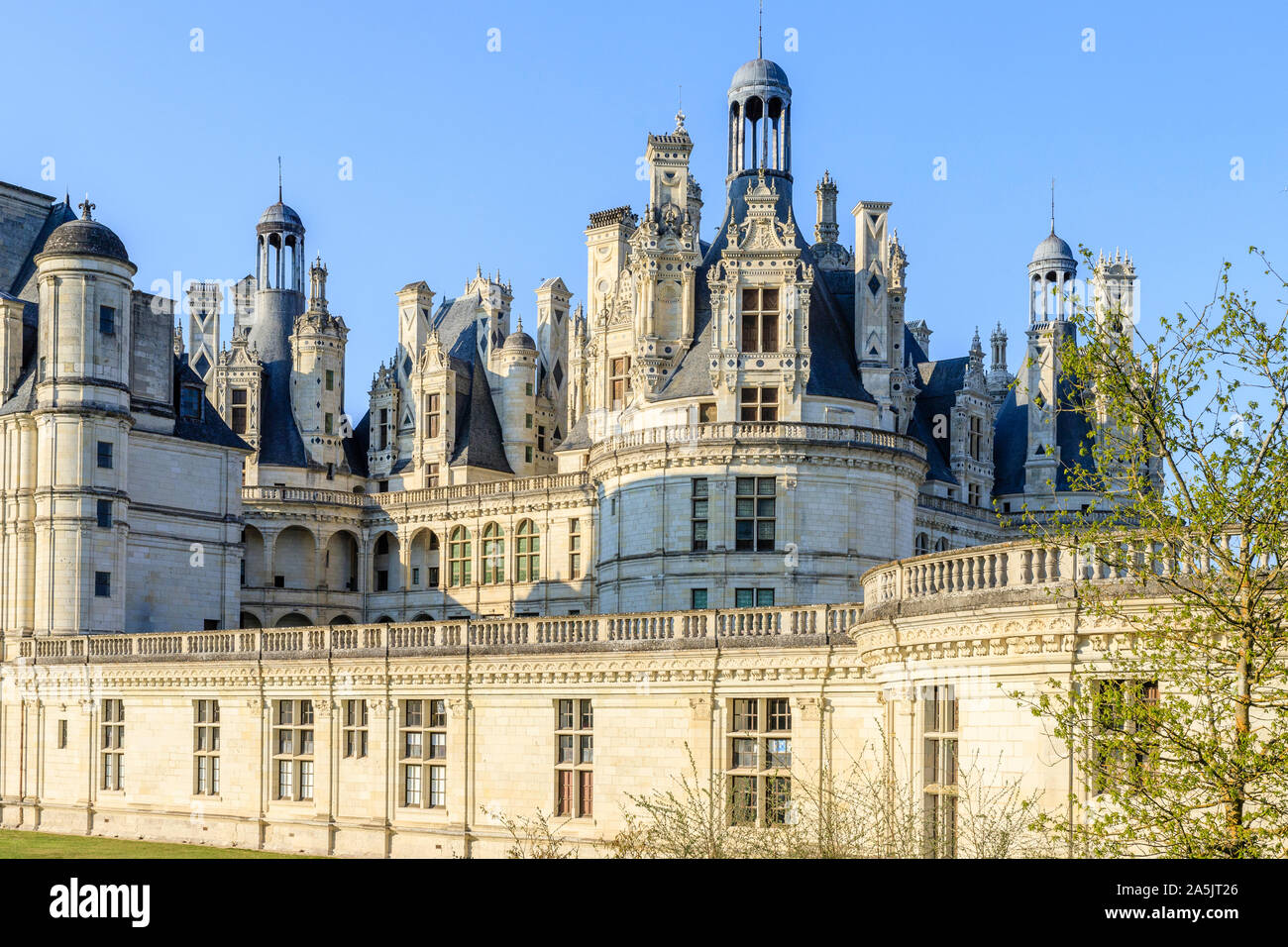 France, Loir et Cher, Loire Valley listed as World Heritage by UNESCO, Chambord, royal castle, roofs and chimneys // France, Loir-et-Cher (41), Val de Stock Photo