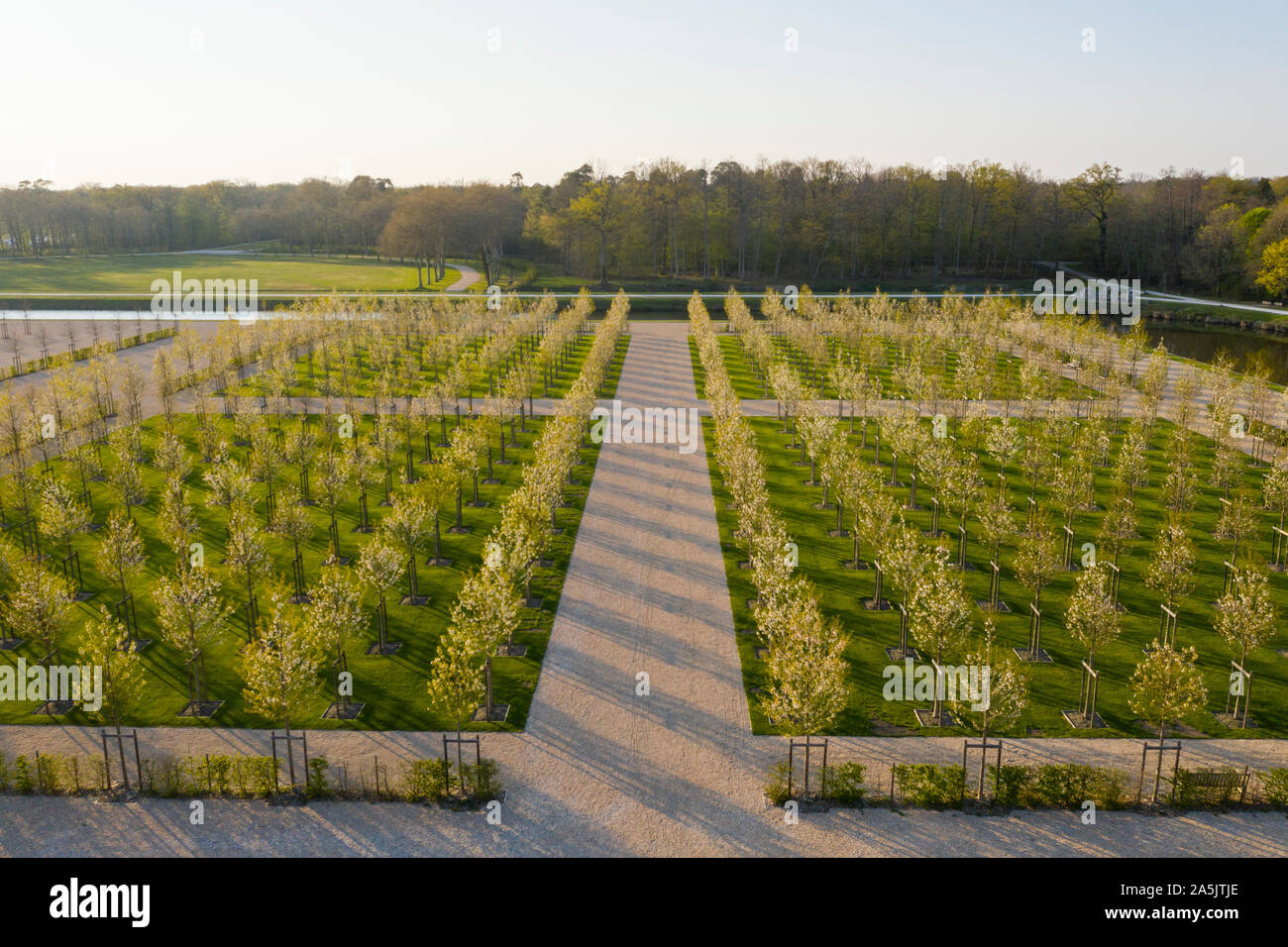 France, Loir et Cher, Loire Valley listed as World Heritage by UNESCO, Chambord, royal castle, the French gardens, planting of double-flowered wild ch Stock Photo