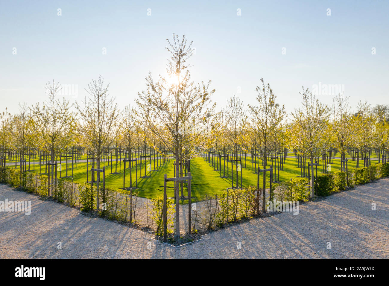 France, Loir et Cher, Loire Valley listed as World Heritage by UNESCO, Chambord, royal castle, the French gardens, planting of double-flowered wild ch Stock Photo