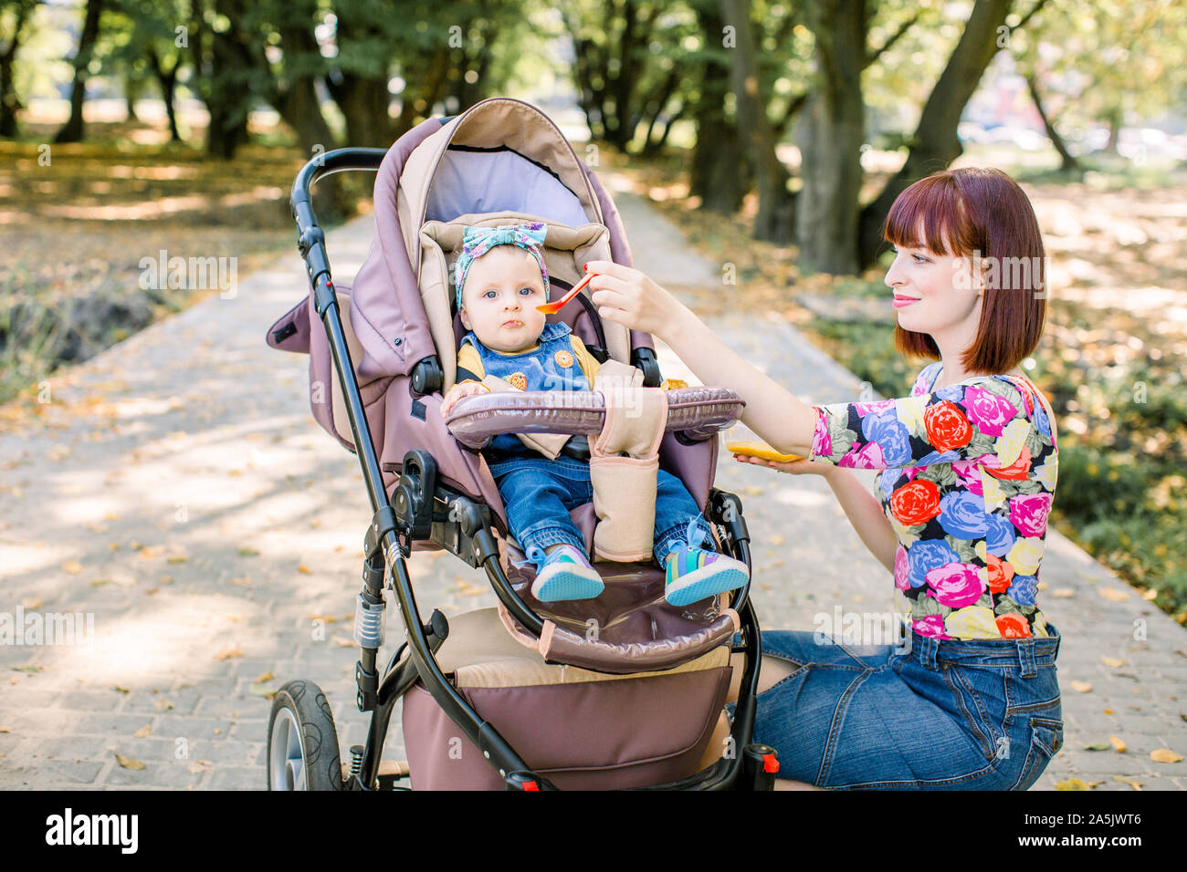 beautiful baby strollers