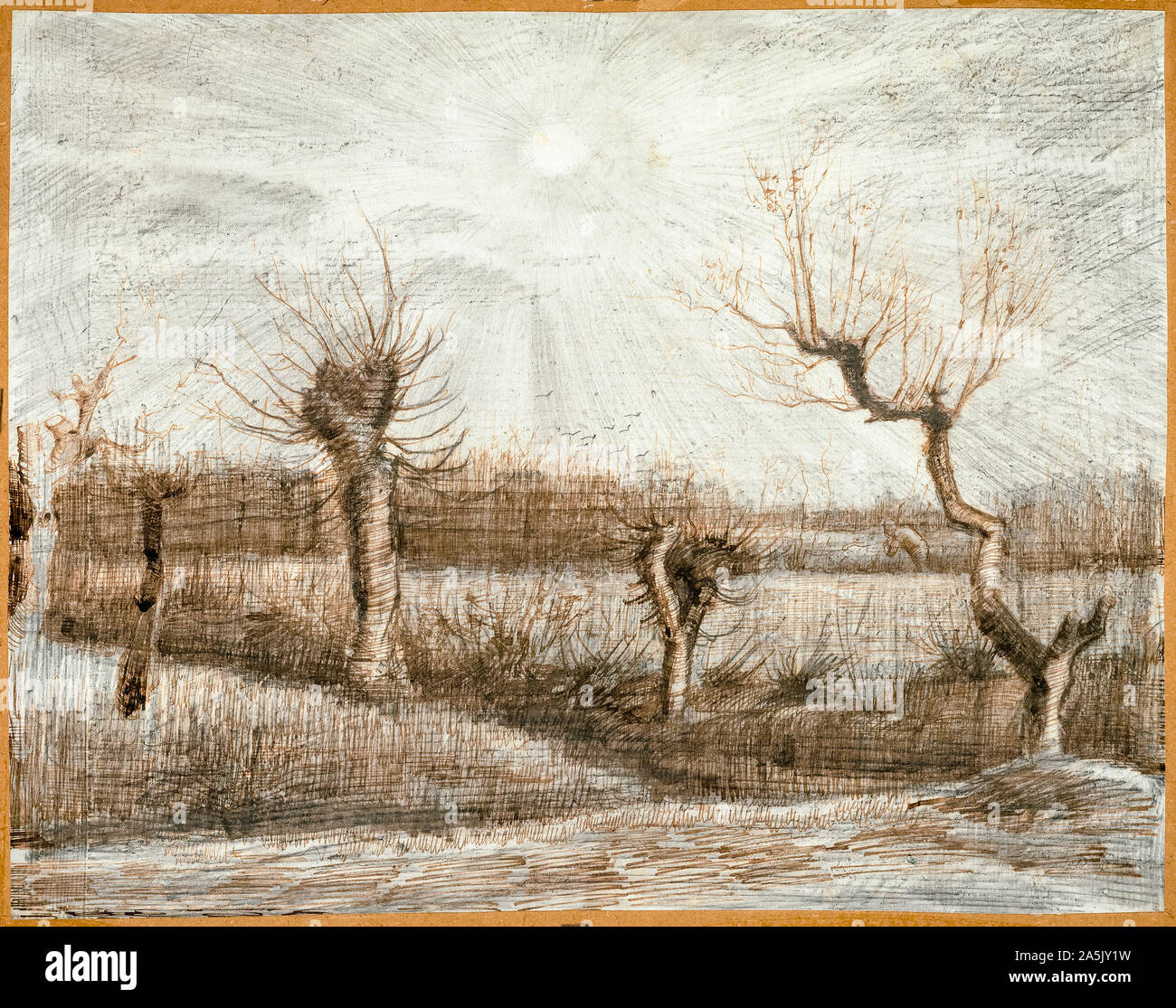 Vincent van Gogh, Tetards (Pollards), landscape drawing, 1884 Stock Photo