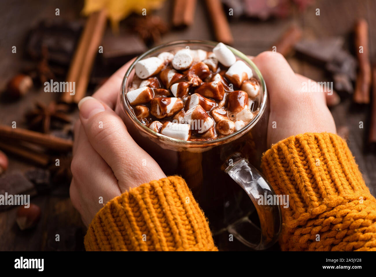 Mug of hot chocolate with marshmallows, cinnamon and chocolate sauce in female hands. Closeup view. Comfort food for autumn and winter season Stock Photo