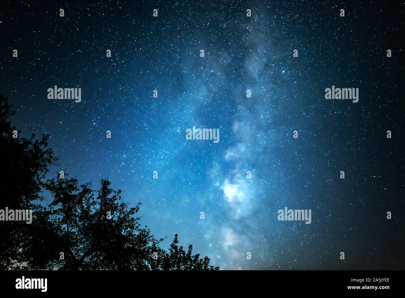 Night starry sky against the background of the Milky Way Stock Photo ...
