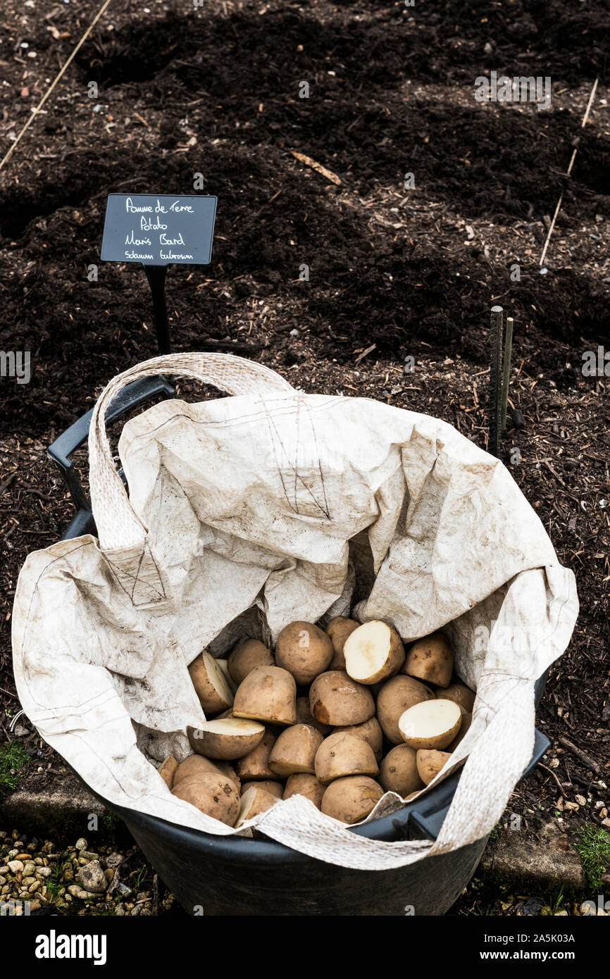 Growing potatoes in bags hi-res stock photography and images - Alamy