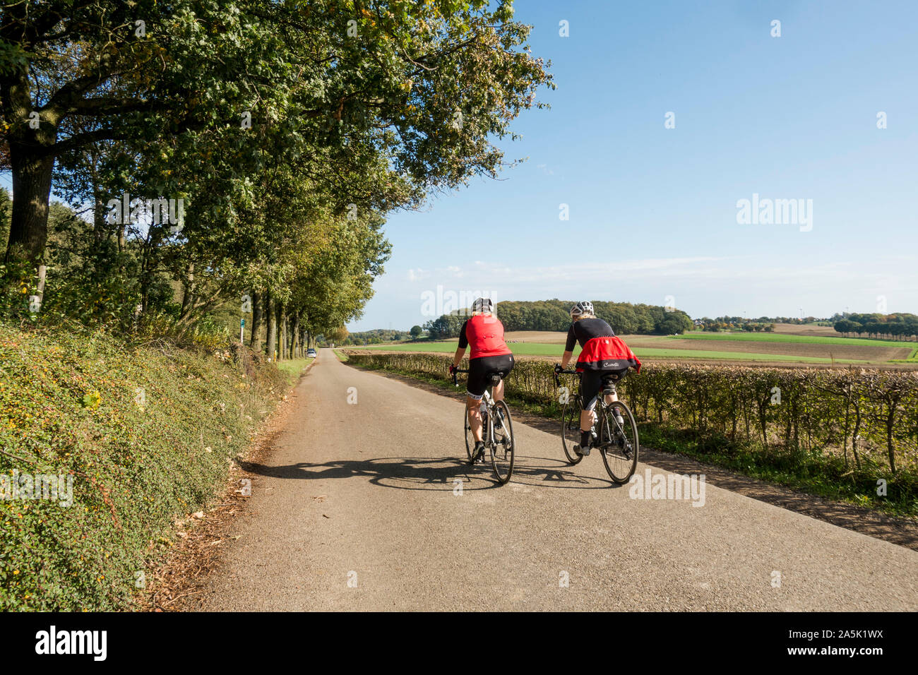 Two cyclists on a treelined street in the countryside south of the Netherlands, Limburg. Stock Photo