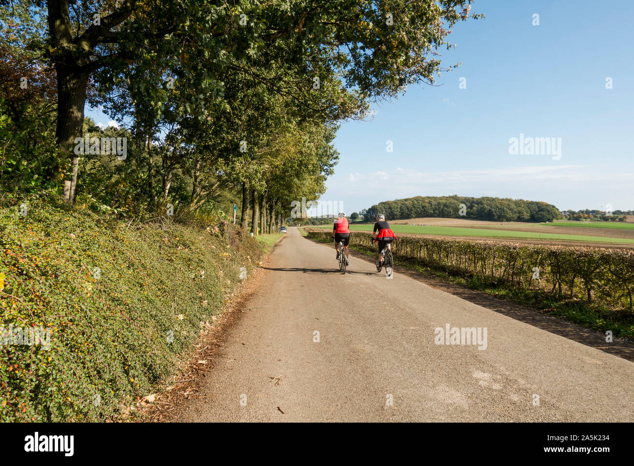Two cyclists on a treelined street in the countryside south of the Netherlands, Limburg. Stock Photo