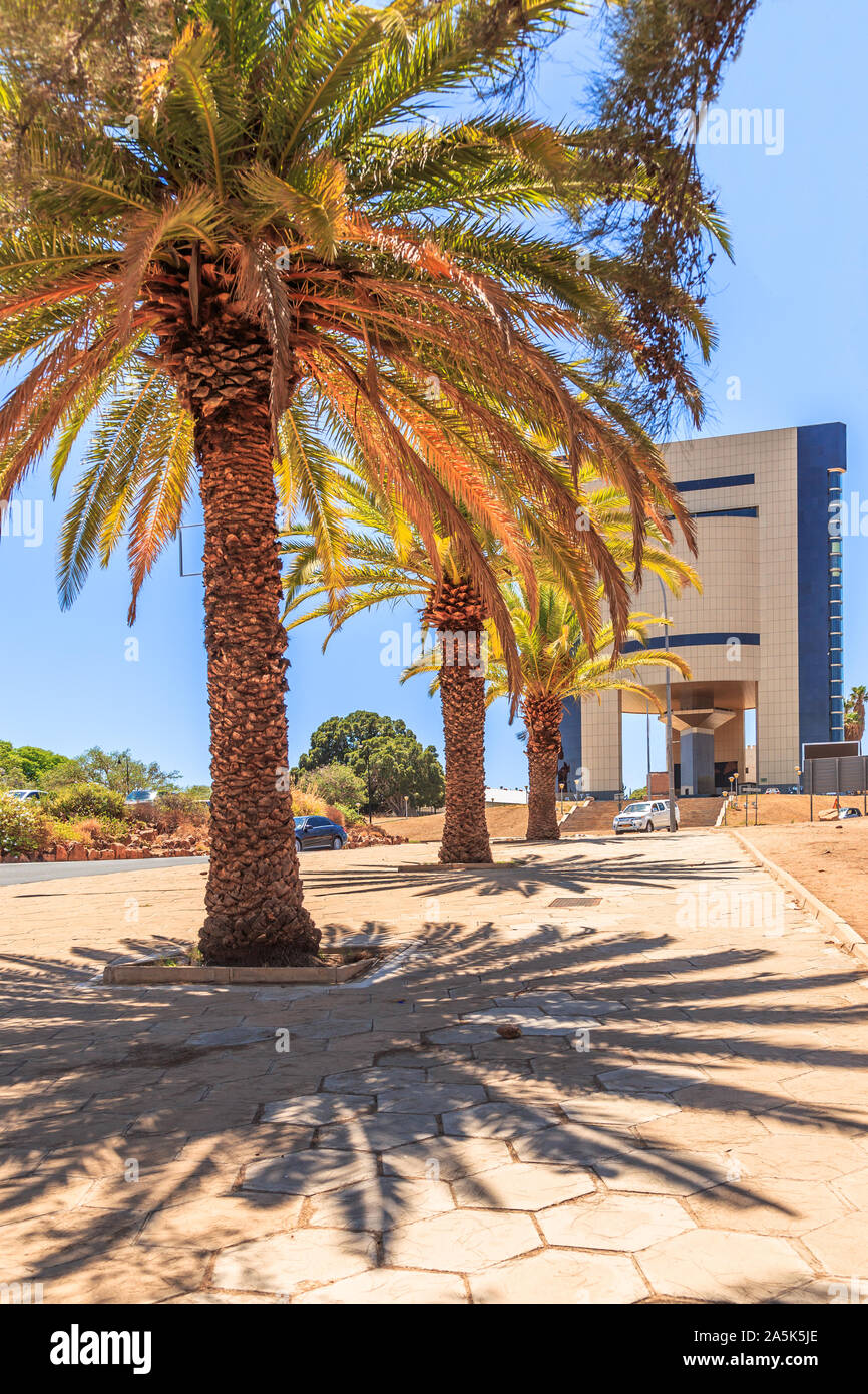 Rows of palm trees and modern building on the central street of Windhoek, Namibia Stock Photo