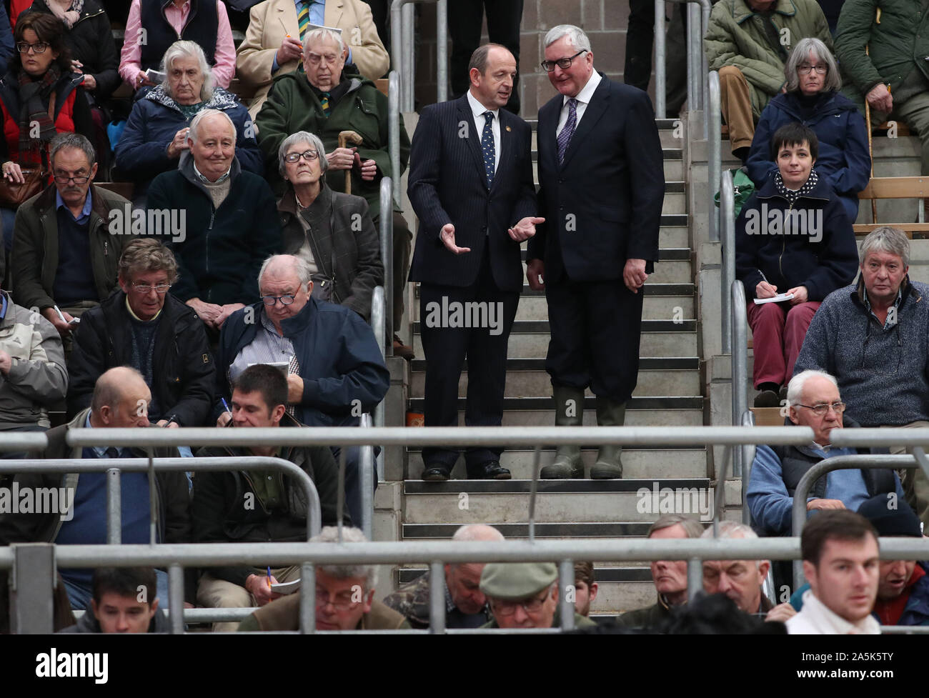 Cabinet Secretary for Rural Economy and Connectivity Fergus Ewing (r) alongside George Purves from United Auctions at the Stirling bull sales at Stirling Agricultural Centre. PA Photo. Picture date: Monday October 21, 2019. See PA story ANIMALS Bulls. Photo credit should read: Andrew Milligan/PA Wire Stock Photo