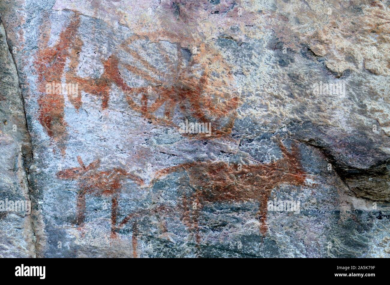 African rock art ancient rock paintings created by bushmen Tsodilo Hills UNESCO World Heritage Site Botswana Africa Stock Photo