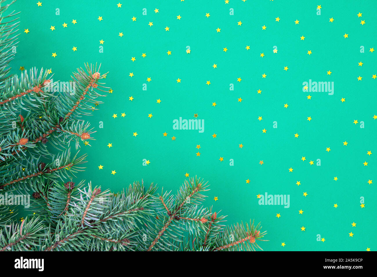 Christmas composition with borders of fluffy green fir branches and ...