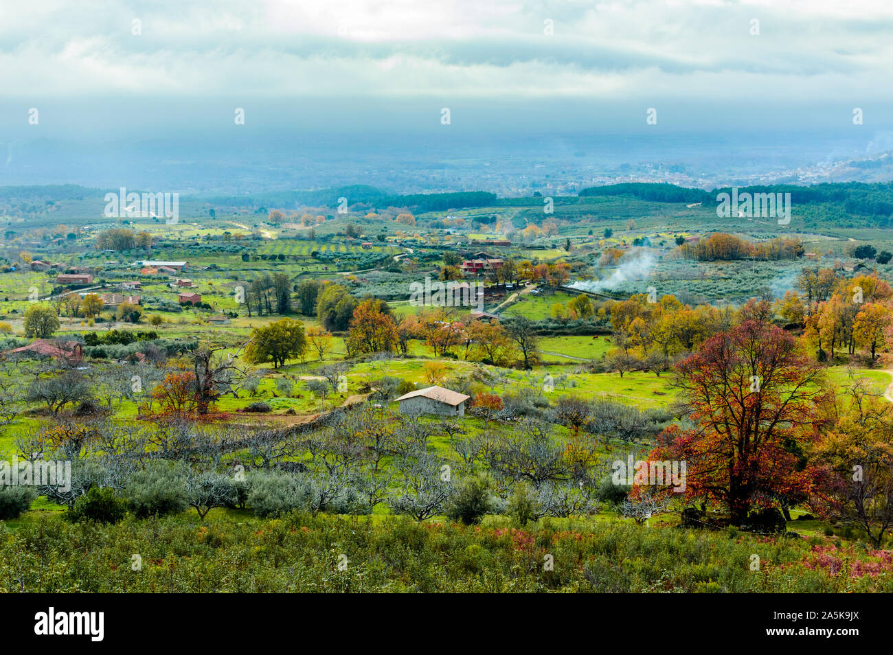 Beautiful Autumnal Print With A Landscape Full Of Vegetation Farms And Large Green Pastures In The Freillo. December 15, 2018. El Raso Avila Castilla Stock Photo
