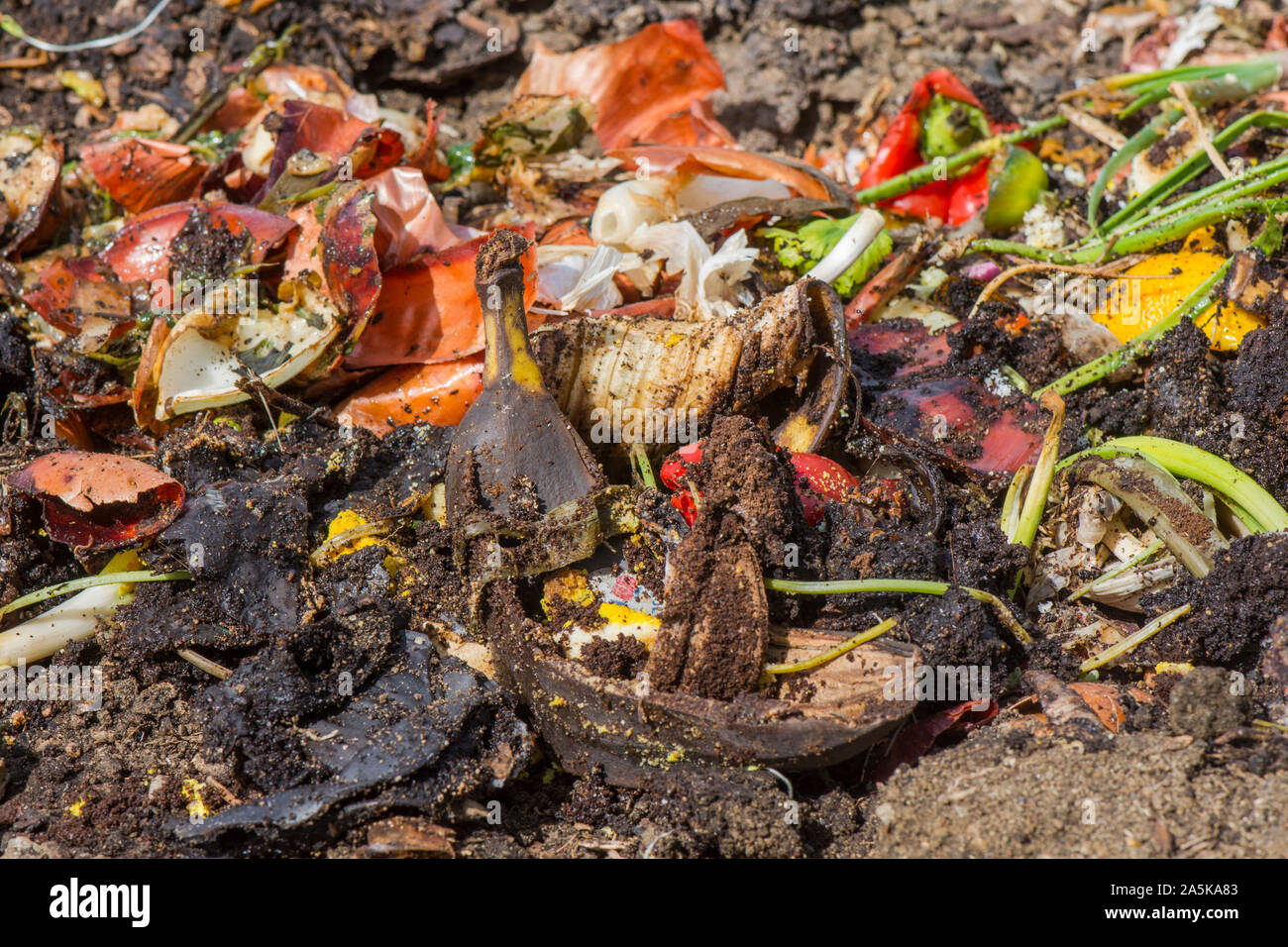Pile of rotting food hires stock photography and images Alamy