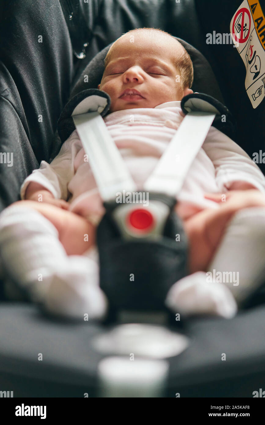 Baby buckled up in baby cradle Stock Photo Alamy