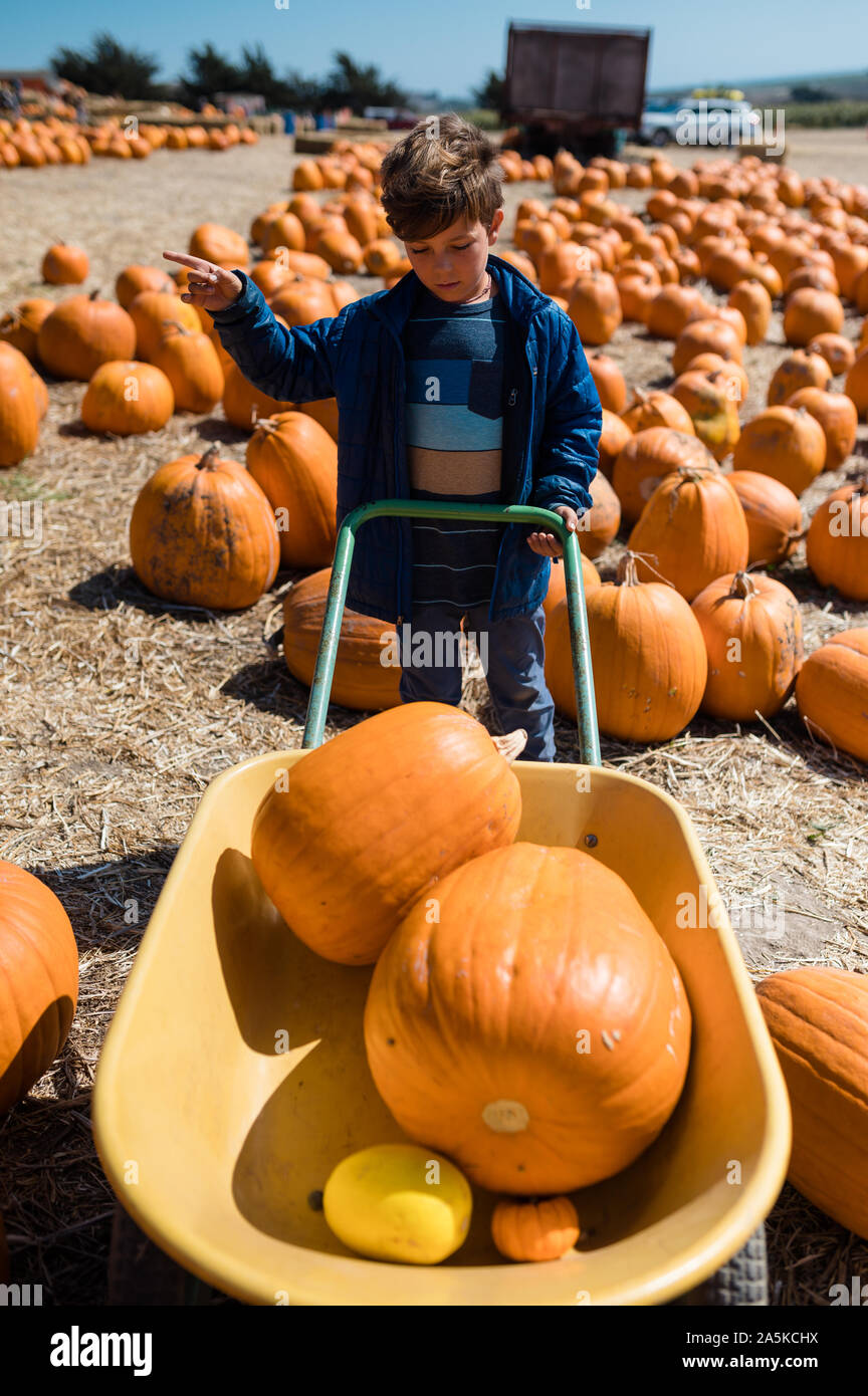 Boy at pumpkin patch with a wagon full of pumpkins pointing Stock Photo