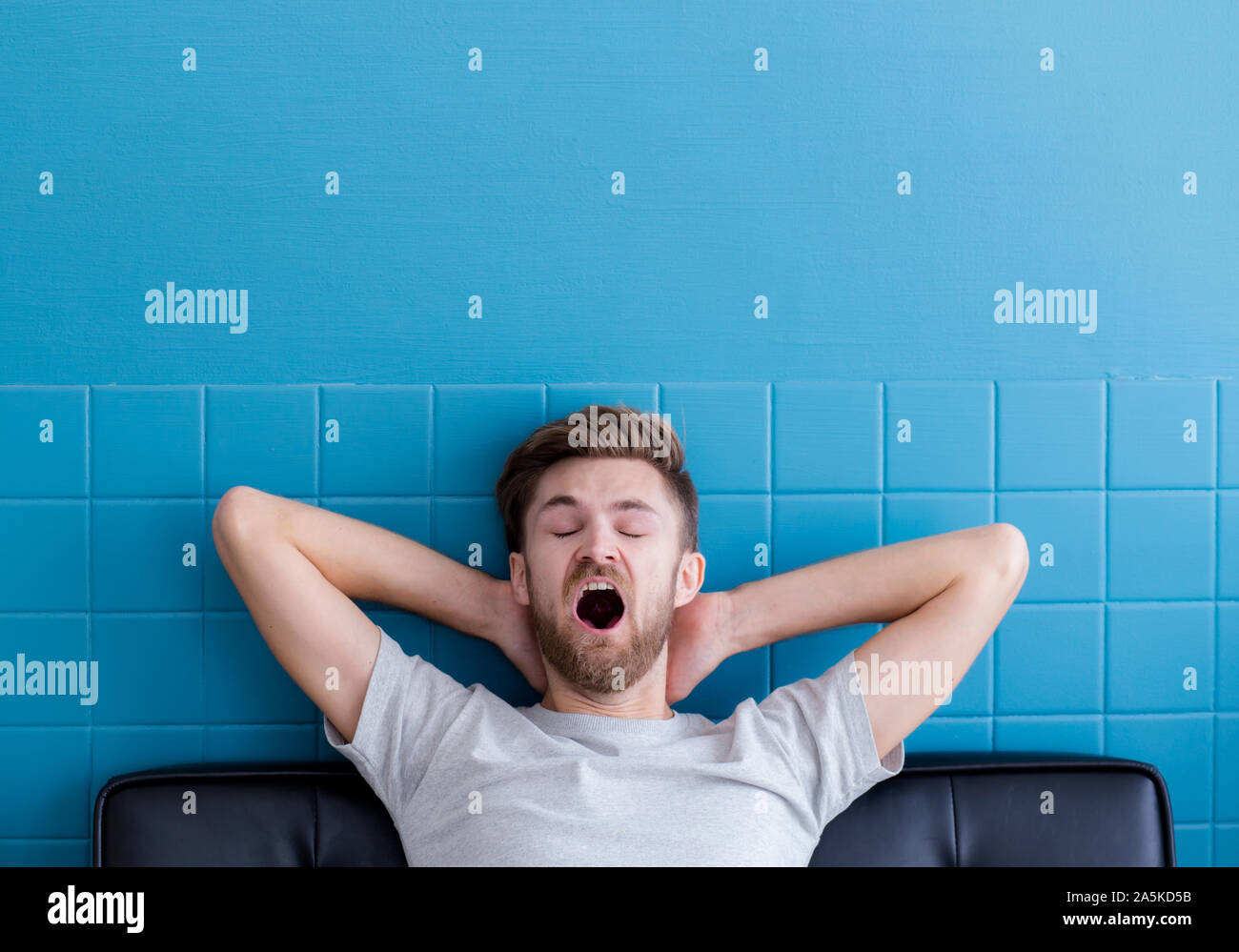 Коты бесятся. Скучно в офисе. Зеваю каждую минуту. Зубы млекопитающих. Зеваю каждую минуту.