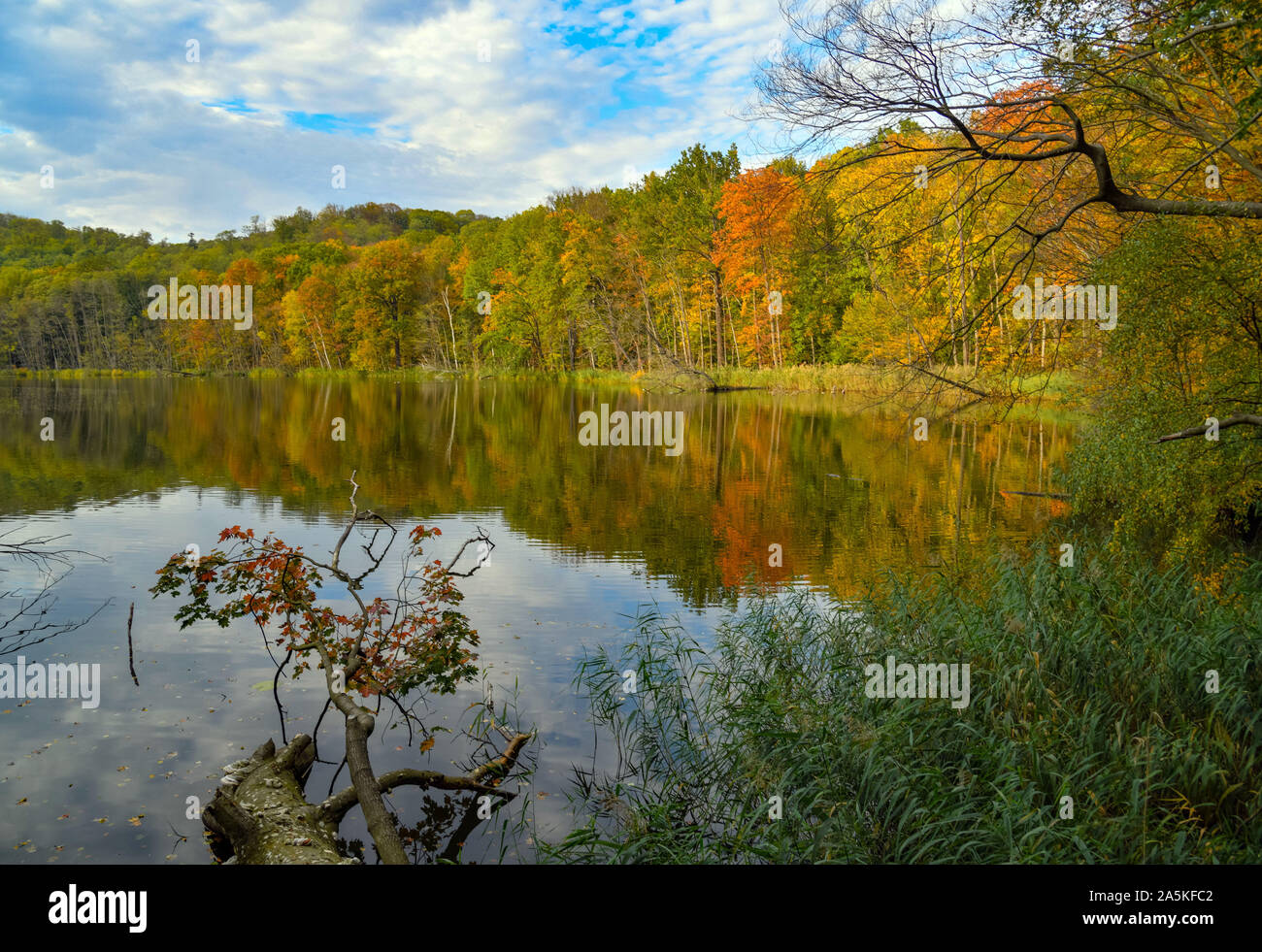Tornow See Stock Photos Tornow See Stock Images Alamy