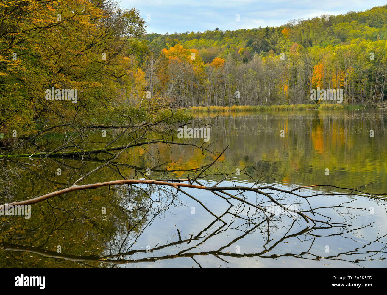 Tornow See Stock Photos Tornow See Stock Images Alamy