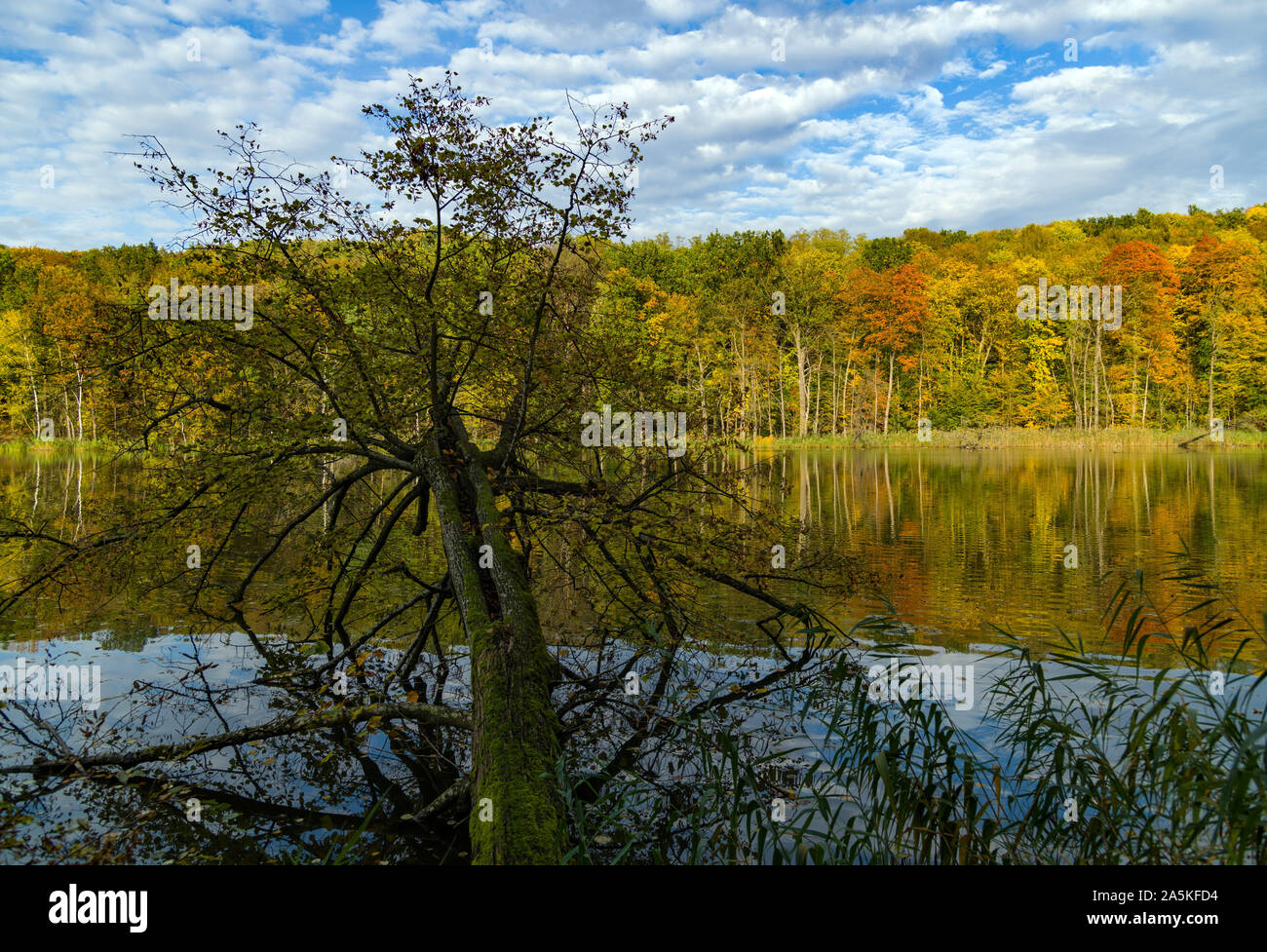 Tornow See Stock Photos Tornow See Stock Images Alamy