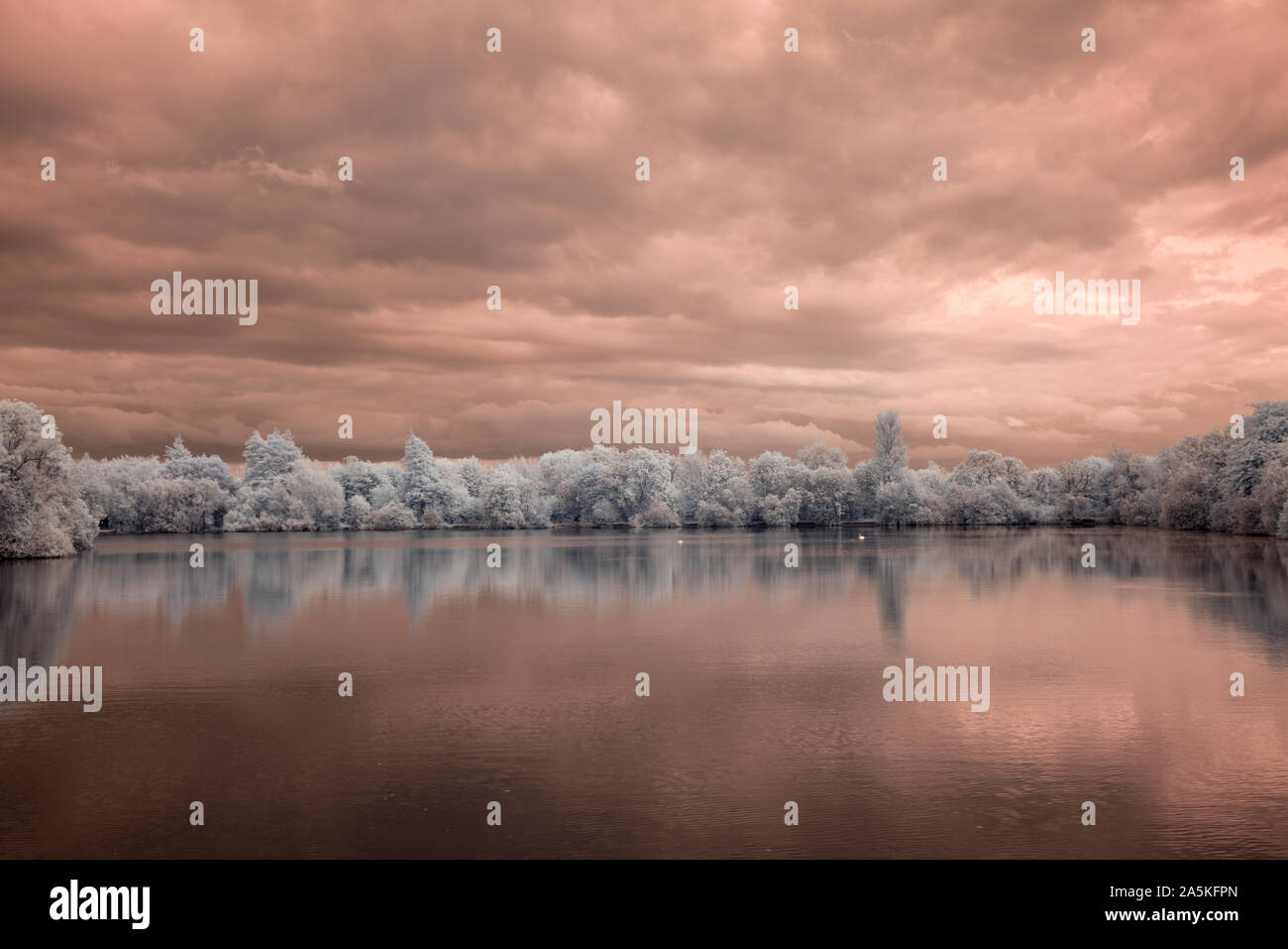 The lake at Neighbridge in the Cotswold Water Park shot in infrared light Stock Photo