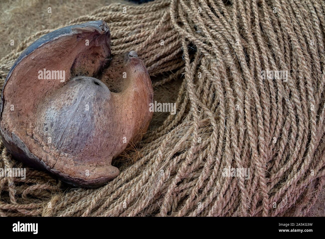 Broken Coconut and coconut rope, natural background, texture Stock Photo