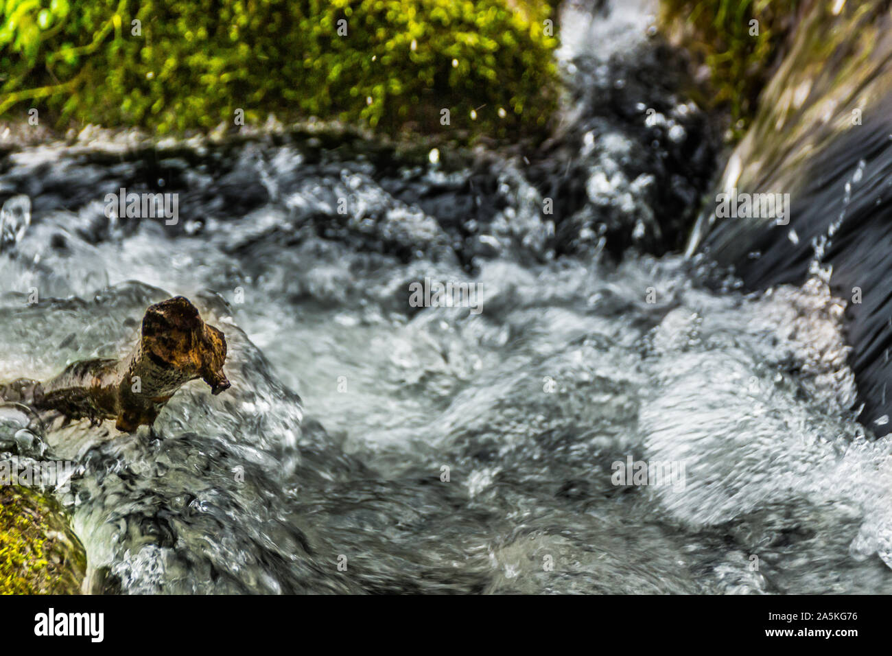 Water in Germany Stock Photo Alamy