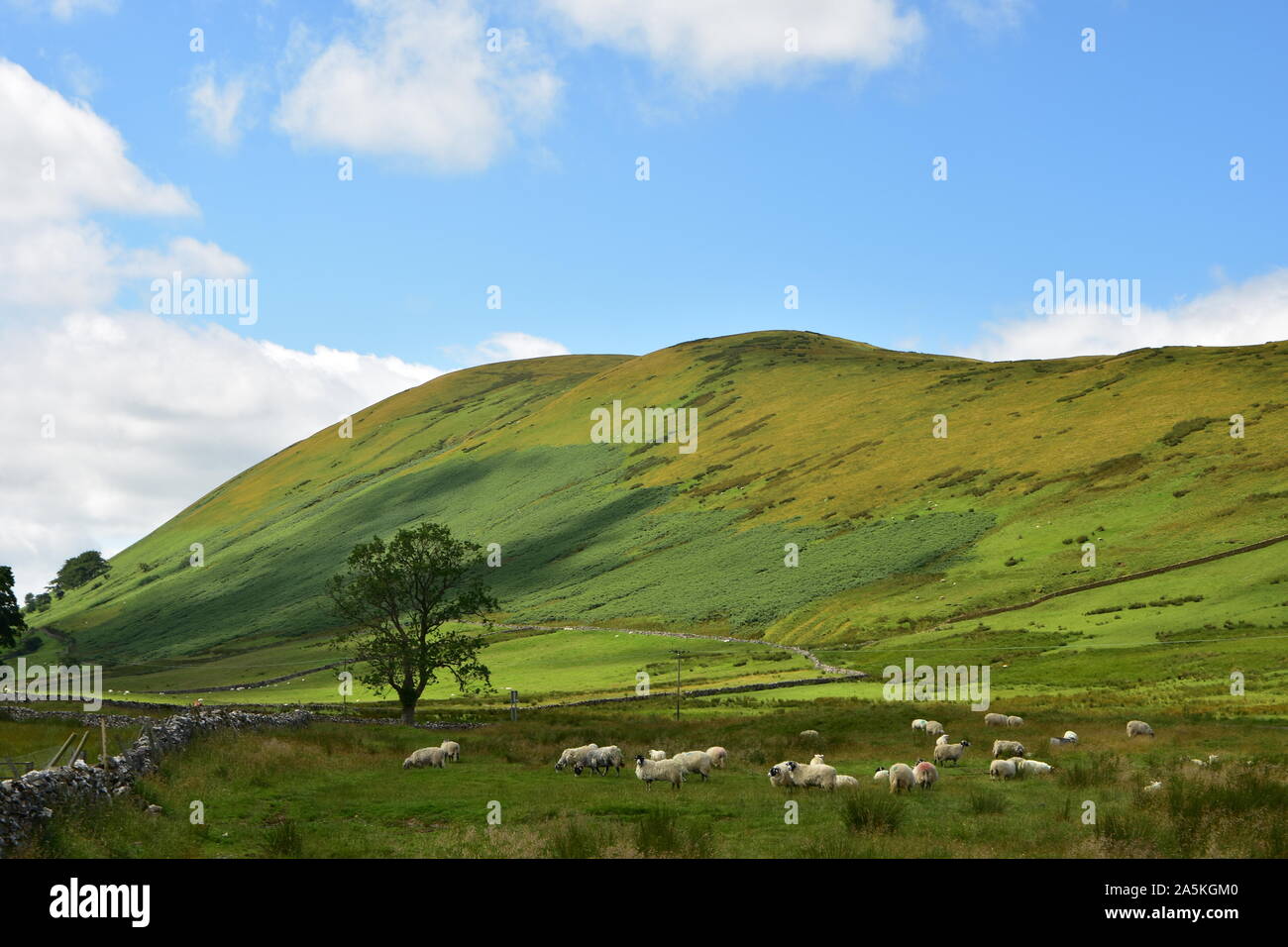 Harter Fell, Howgill Fells, Cumbria Stock Photo